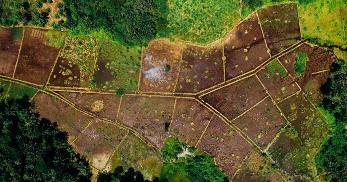 Terrenos em Dois Irmãos: O Que Saber Antes de Comprar
