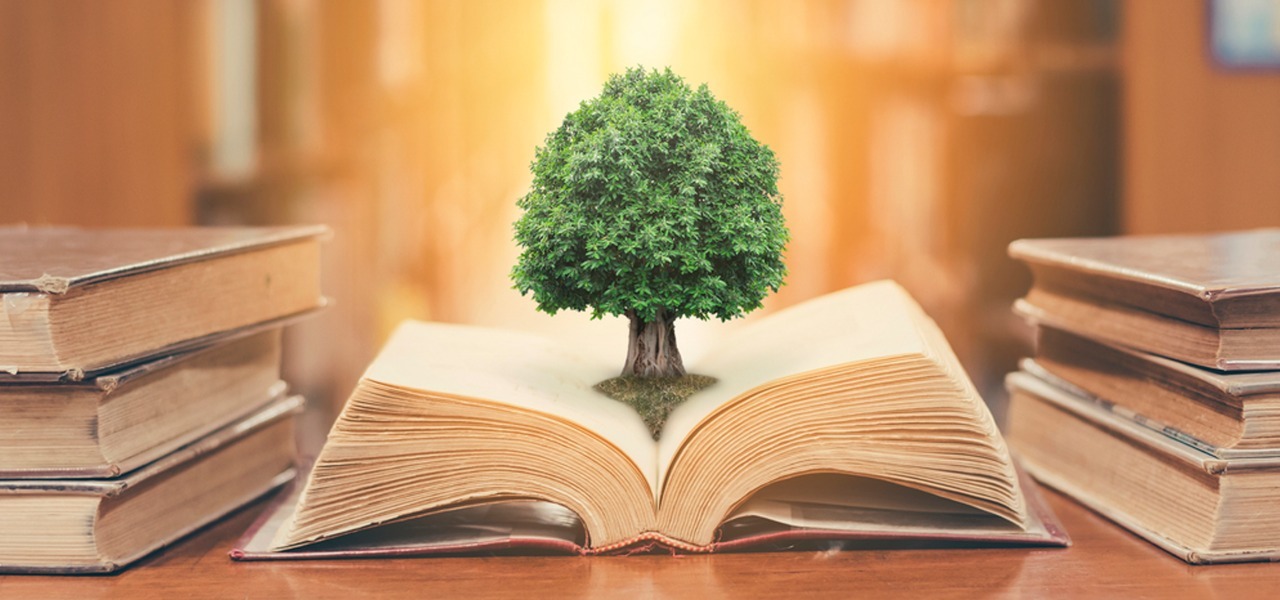 A importância das leis ambientais para o desenvolvimento sustentável do ecoturismo